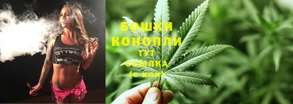PSILOCYBIN Белоозёрский
