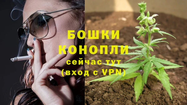 PSILOCYBIN Белоозёрский