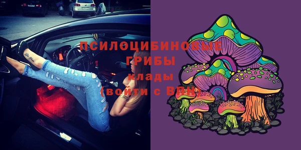 кокаин Белокуриха