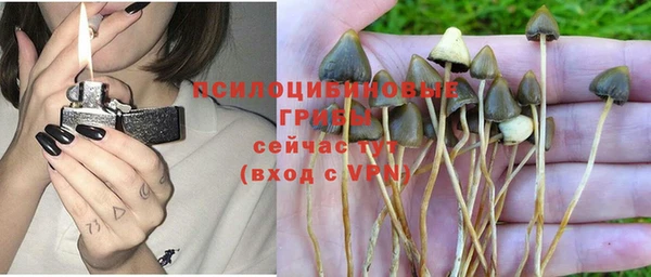 кокаин Белокуриха
