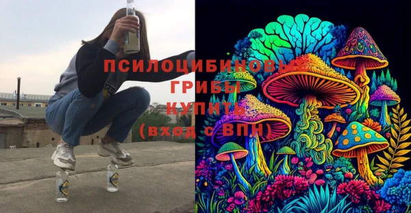 PSILOCYBIN Белоозёрский
