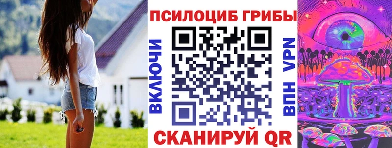 Псилоцибиновые грибы ЛСД купить Светогорск
