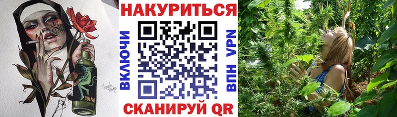 Бошки Шишки конопля Светогорск